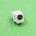 DNS TV Keystone jack