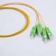 SM pigtail SC/APC G657 1m